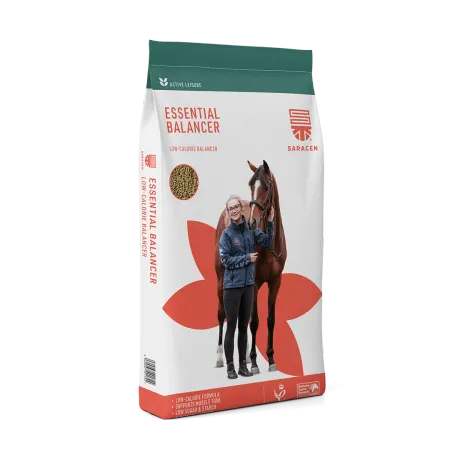 Essential Balancer, 20 kg