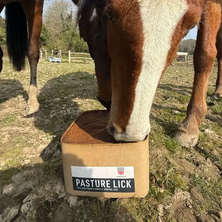 Pasture Lick, vitamin- & mineralbalja för hästar på bete, 10 kg