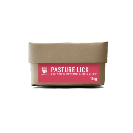 Pasture Lick, vitamin- & mineralbalja för hästar på bete, 10 kg