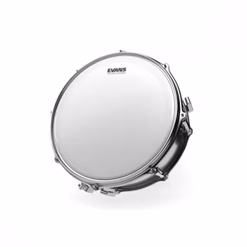 Evans GENERA 14" Coated B14GEN