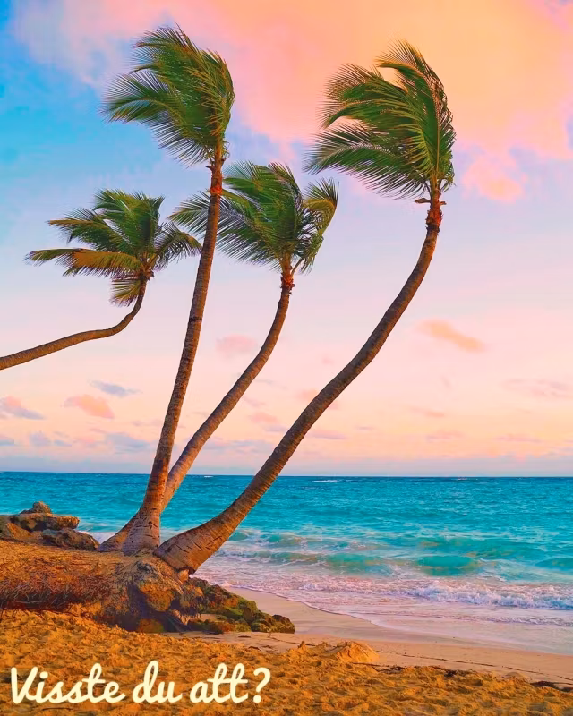 Did you know this about palm trees?