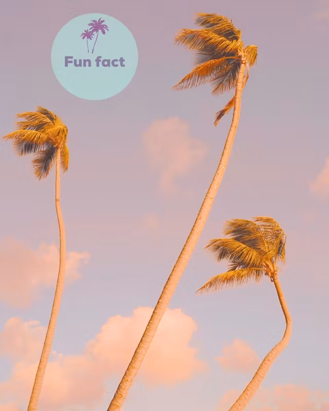 Fun fact!