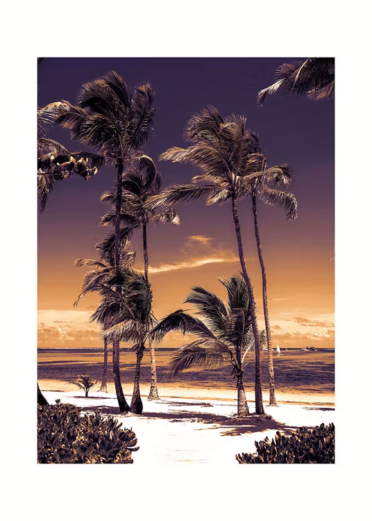 Artwork Dreams White Sunset