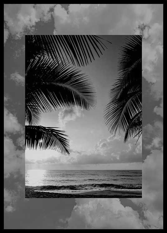 Artwork Miracle Tranquility Black White