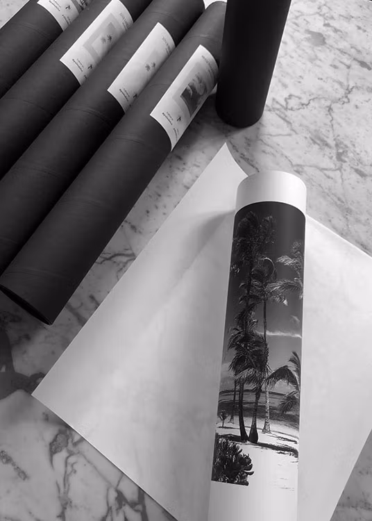 Artwork Miracle Tranquility Black White