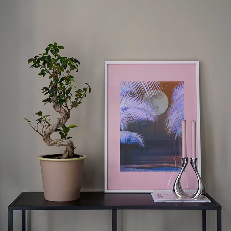 Artwork Miracle Tranquility Moon Light