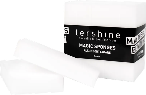 tershine - FLÄCKBORTTAGNINGSSVAMP 5-PACK