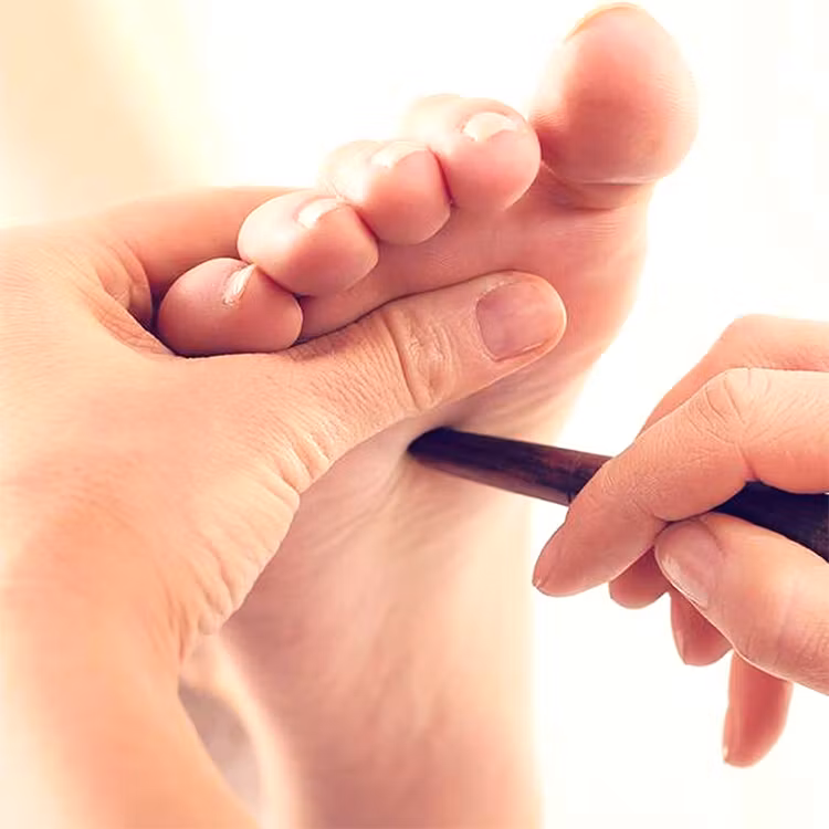 Zonterapi (Massagepinne)