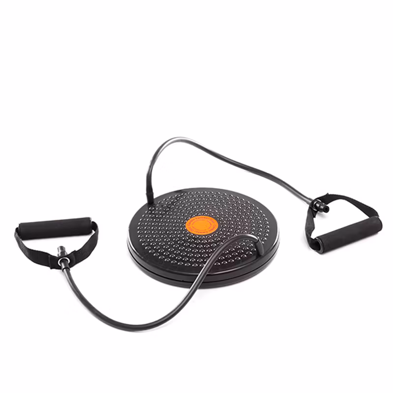 Cardio Twister Disc