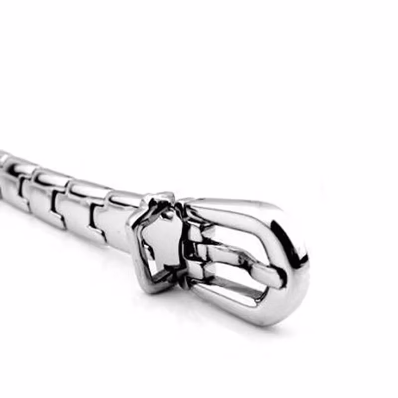 Fibula magnetarmband