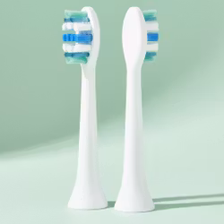 Utbytbara tandborsthuvuden