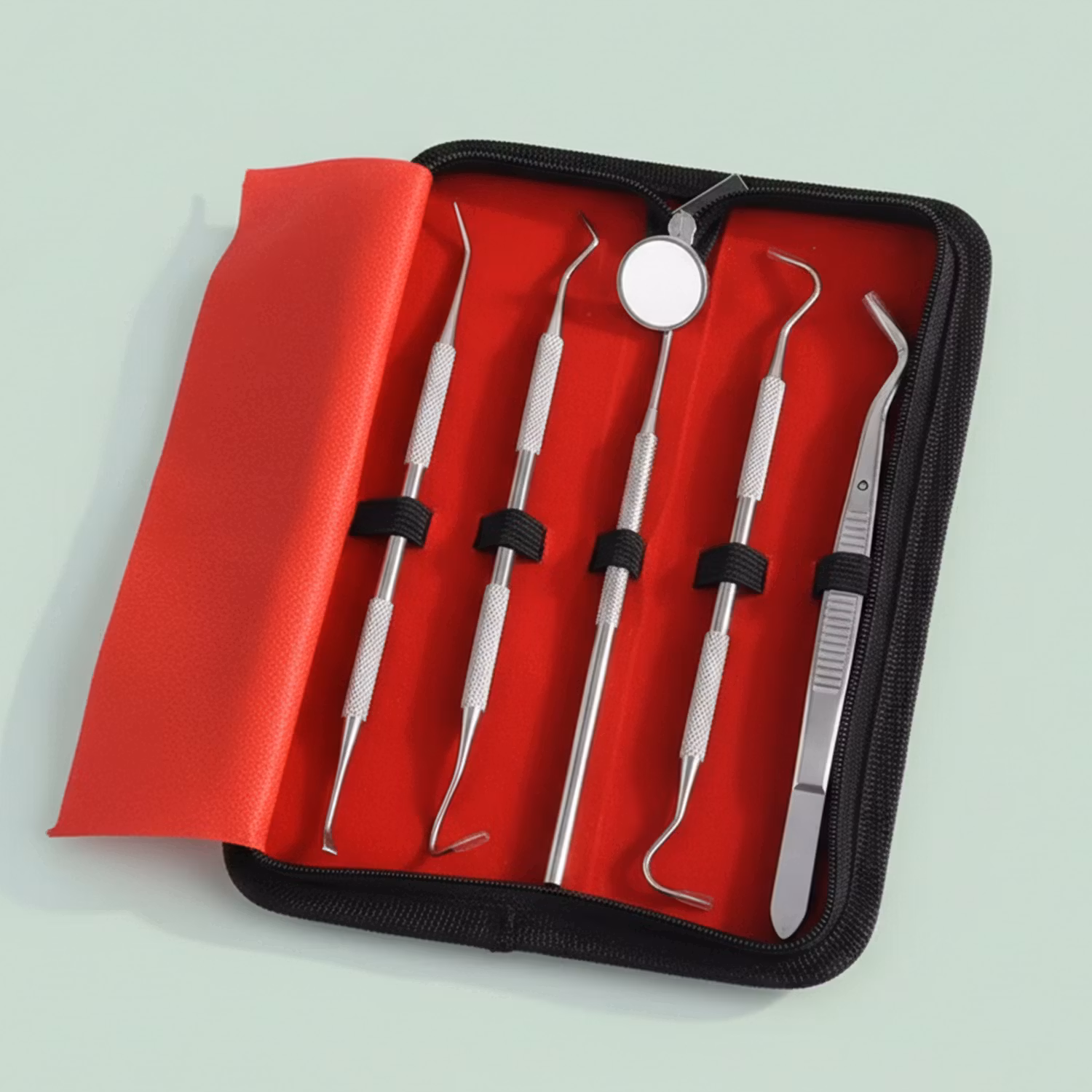 Tandläkarverktyg (5st)