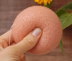 Rosa konjac svamp