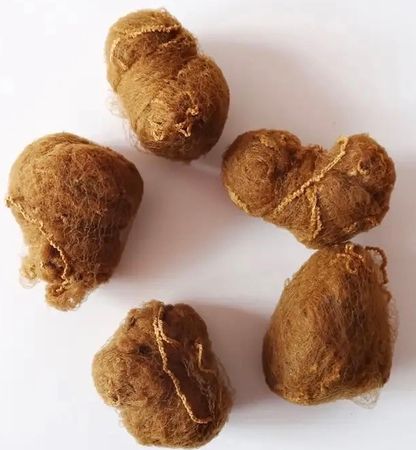 Hårnät, Ljusbrun 3-pack