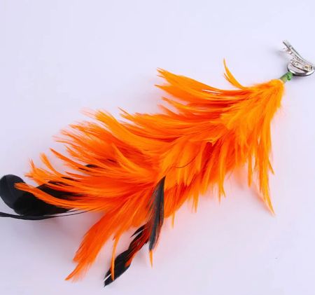 Håraccesoar med fjädrar Orange