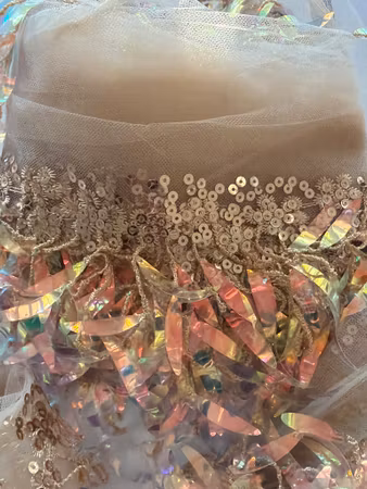 Paljettfransband Champagne 0,5 meter