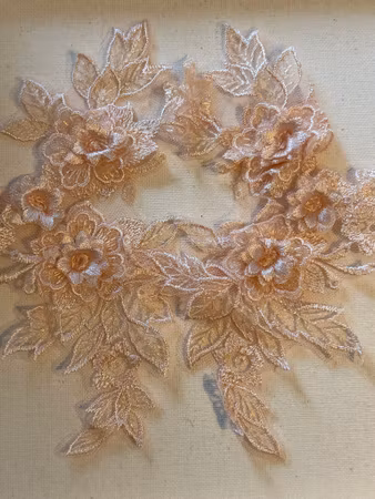 Spetsapplikation på mesh, spegelvänt par. Light Peach