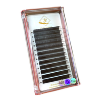 Volymfransar Rosé Collection Faux Mink