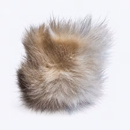 Kaninpip