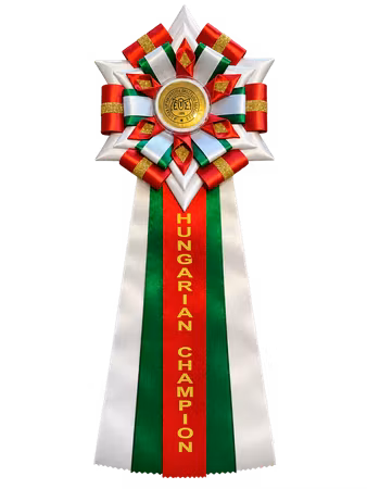 Rosett Large – handgjord prisrosett