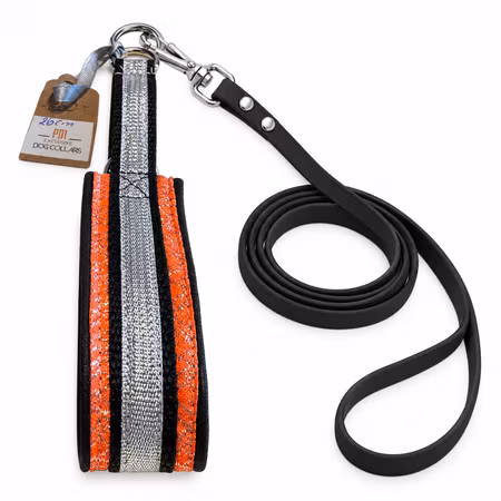 PM Exclusive Dogcollars Orange -Silver