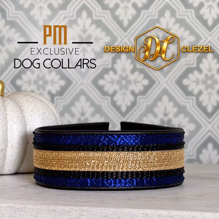 PM Exclusive Dogcollars Royalblå - guld