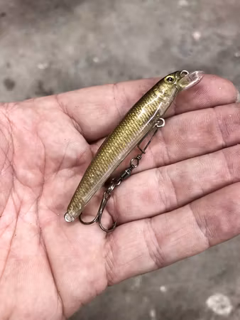 J7-Transp nors 7 cm