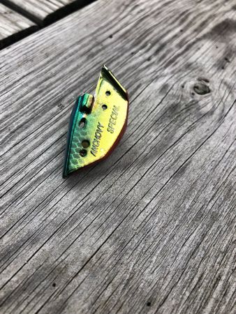 Anchovy Special CUSTOM - 5