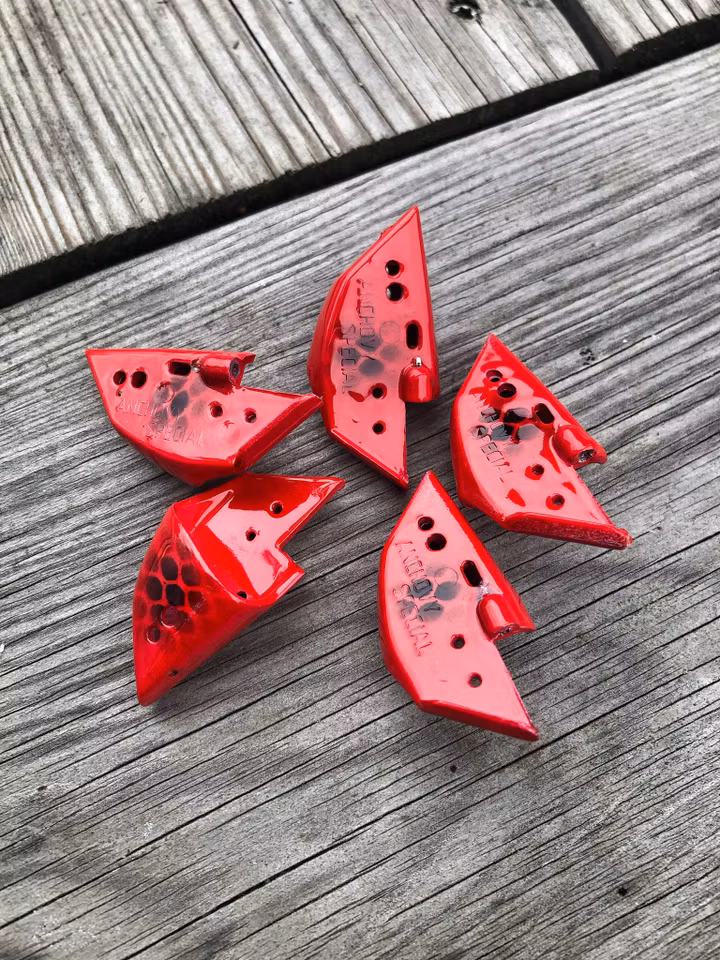 Anchovy Special CUSTOM - 11