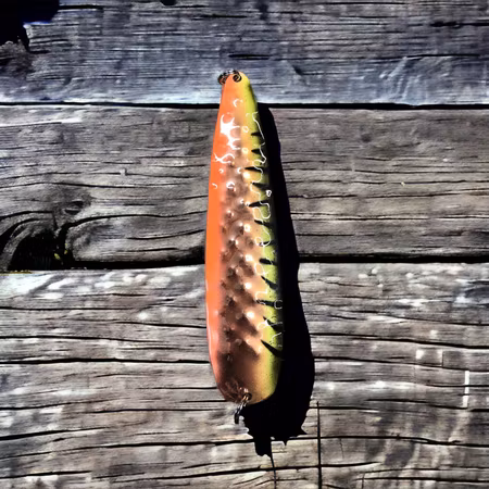 SK - Copper tiger [COPPER]