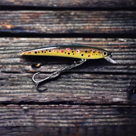 J9-Brown trout