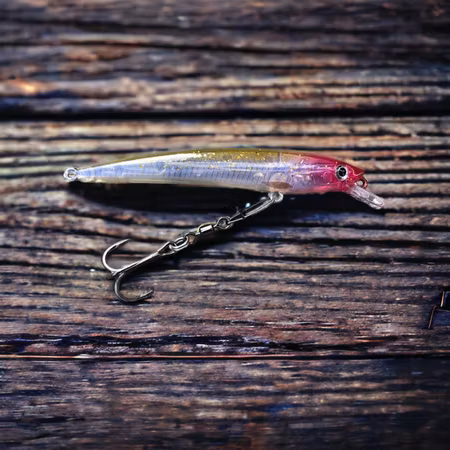 J9-Neon Tetra