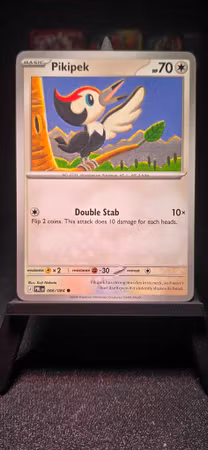 Pikipek | Pitch Black EN | 066/084