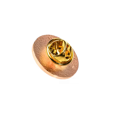 Pin