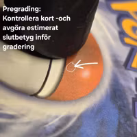 Pregrading av TCG