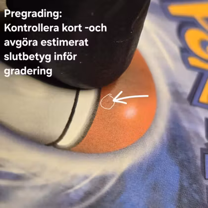 Pregrading av TCG