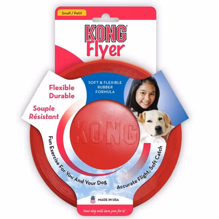 Kong Frisbee