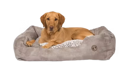 Danish-Design Snuggle Bed