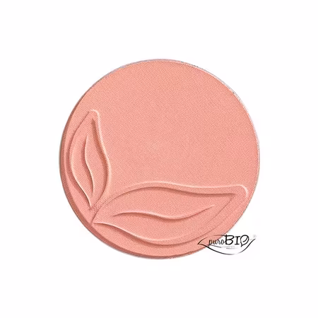 Blush 01 Pink Shimmer