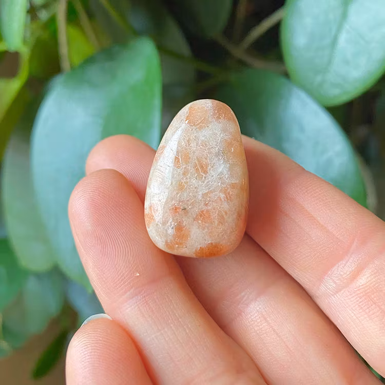 Solsten Hängsmycke (Droppe)