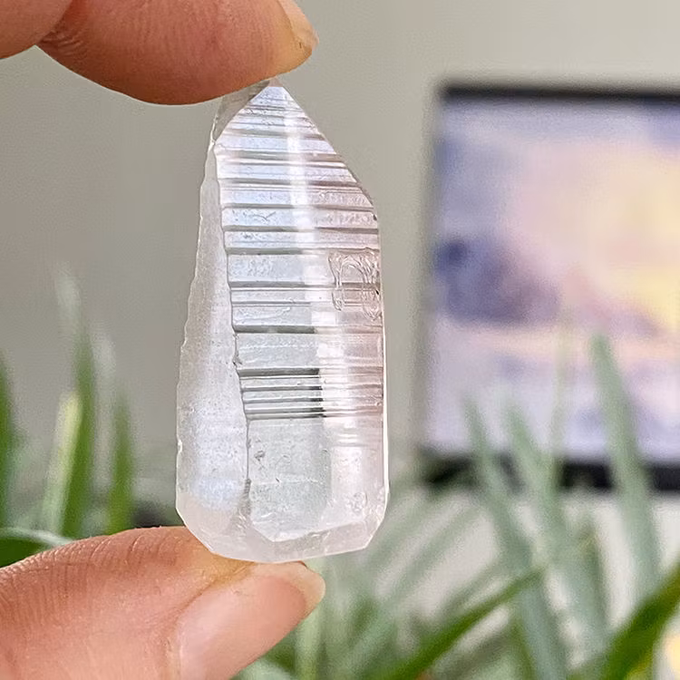 Lemurian Spets Mini