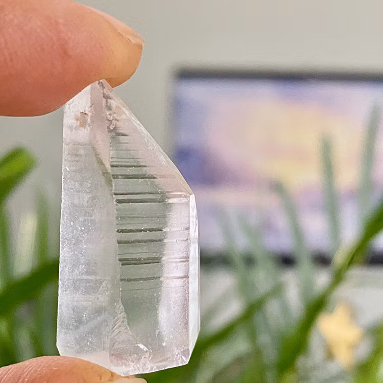 Lemurian Spets Mini