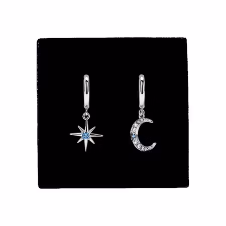 Ilaria örhängen Silver/Guld med presentask