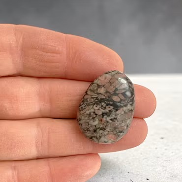 Sjöliljefossil "Crinoid" Hängsmycke (Droppe)