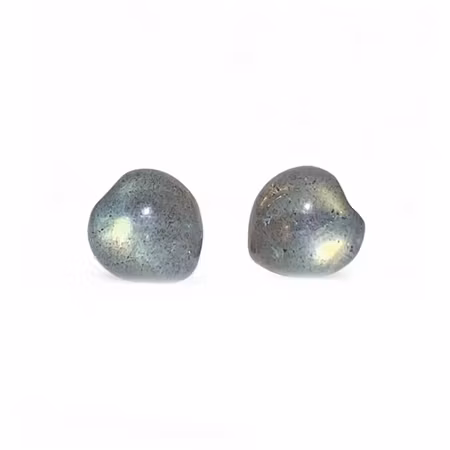Labradorit Hjärta Örhängen (925 Silver)