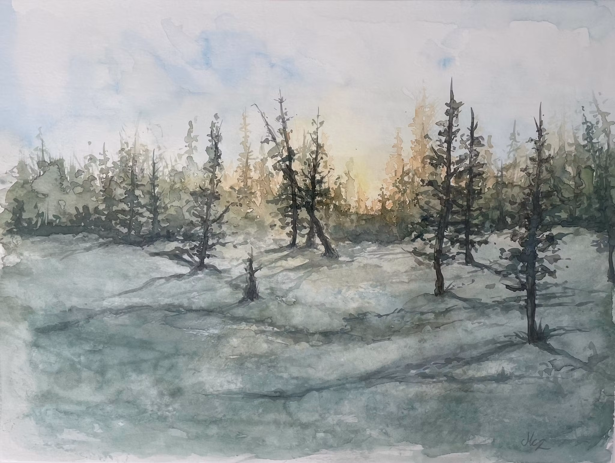 Älvornas kalhygge