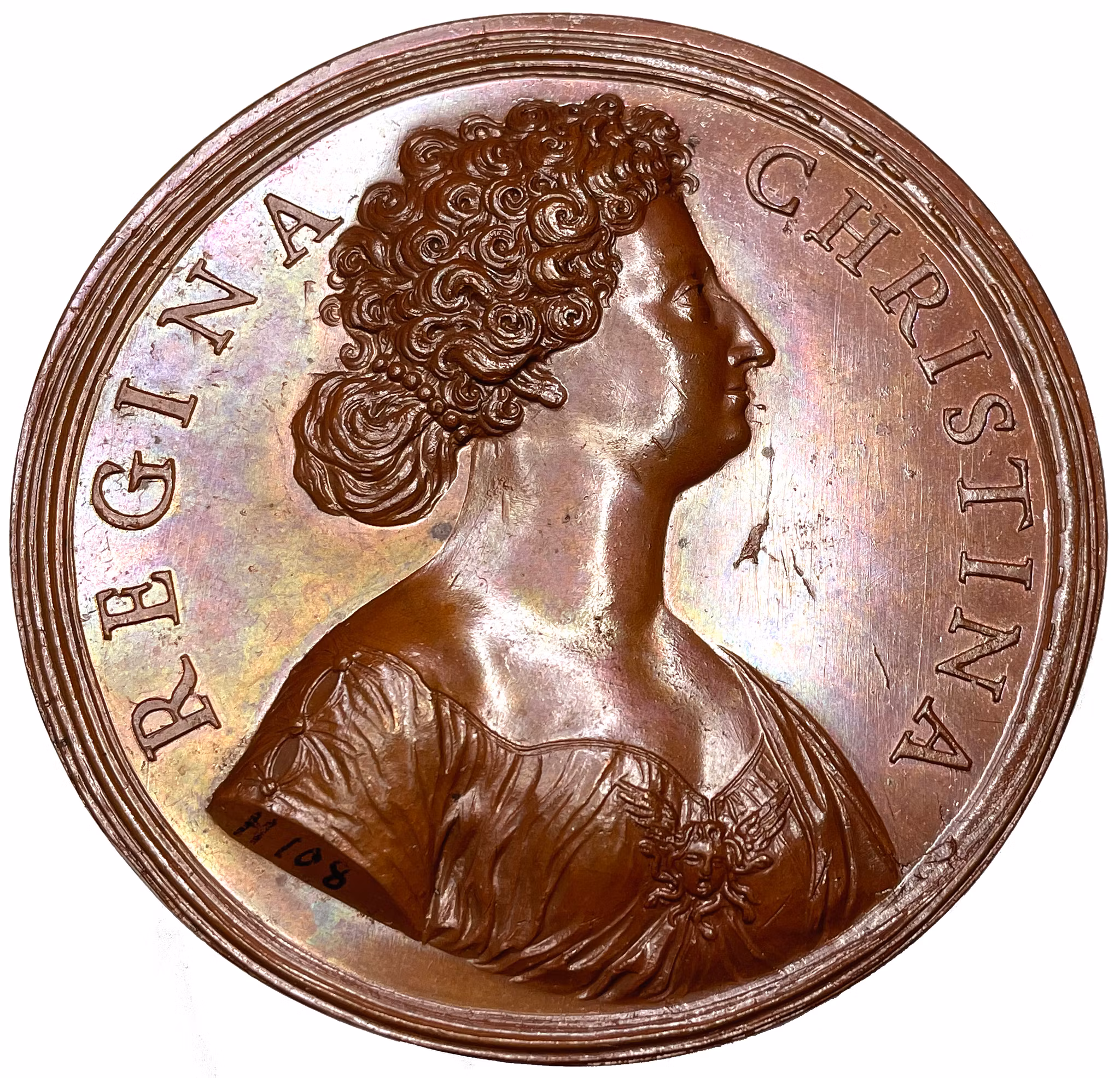 Kristina som Victoria Maxima - Praktexemplar - Möjligen unik hybrid