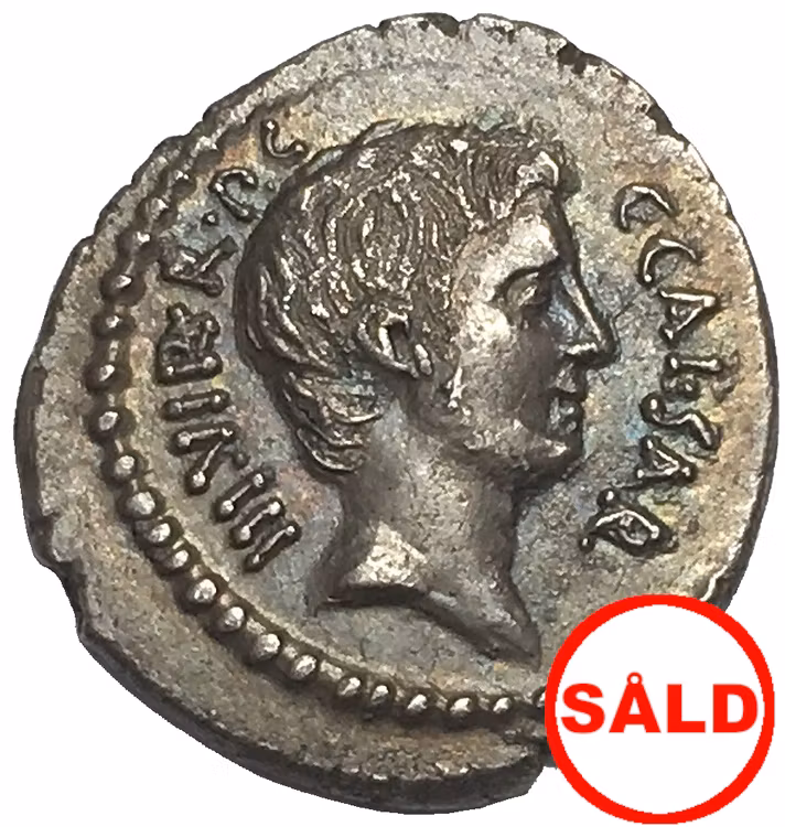 Romerska republiken, Oktavianus, Silverdenar 42 f.Kr - LÄCKERT PORTRÄTT - RR