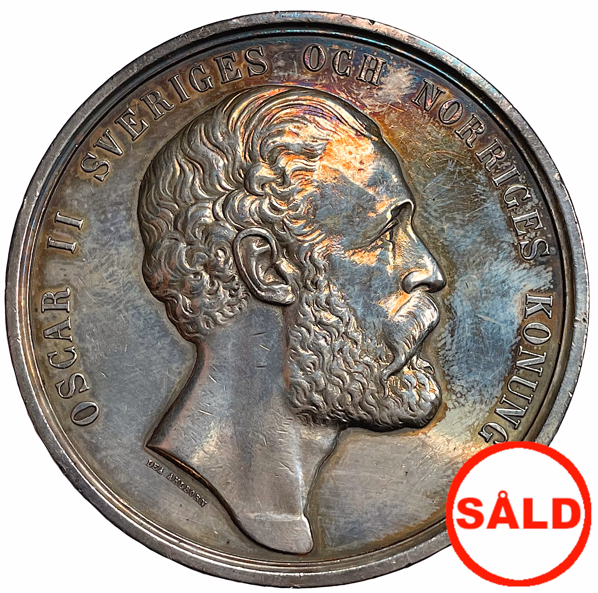 Oskar II - Fjortonde allmänna lantbruksmötet i Norrköping 1876 av Lea Ahlborn