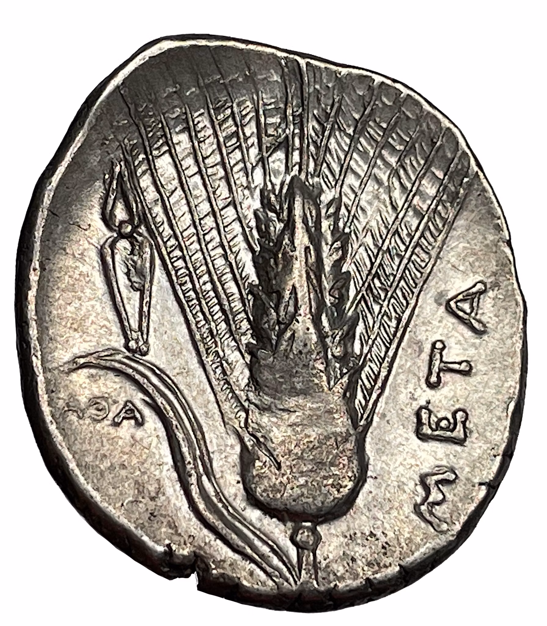 Lukanien, Metapontium, Stater cirka 330-280 f.Kr - Tilltalande exemplar